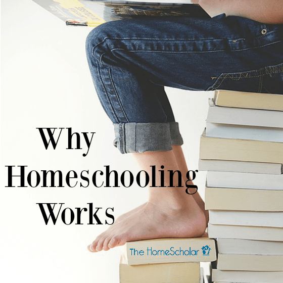 Why-Homeschooling-work_20161221-220337_1.png