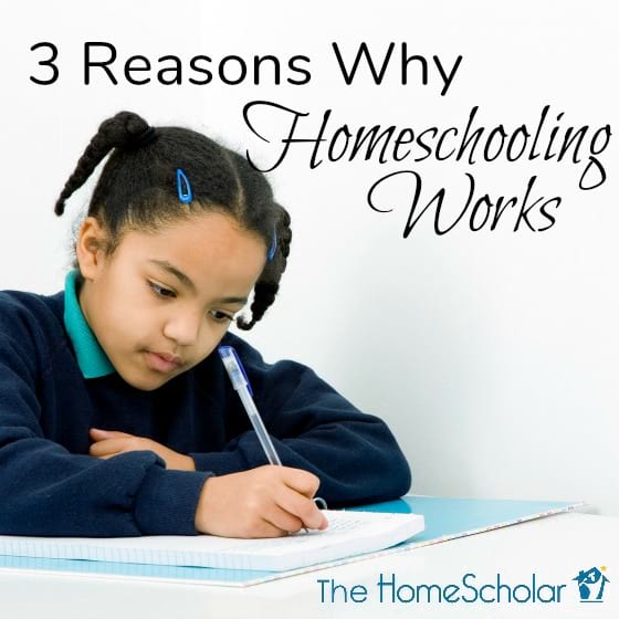 3-Reasons-homeschooling-works.jpg