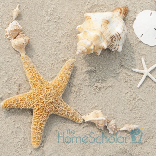 august homeschool calendar reminders top