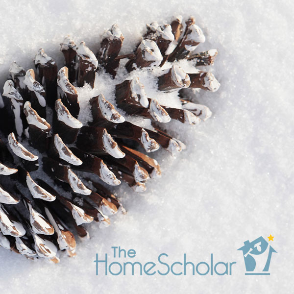 homeschool calendar reminders