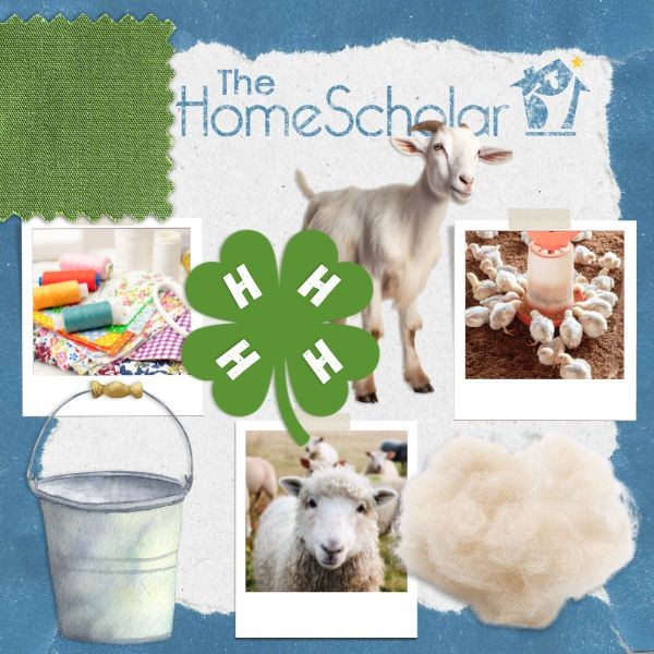 Homeschooling with 4-H