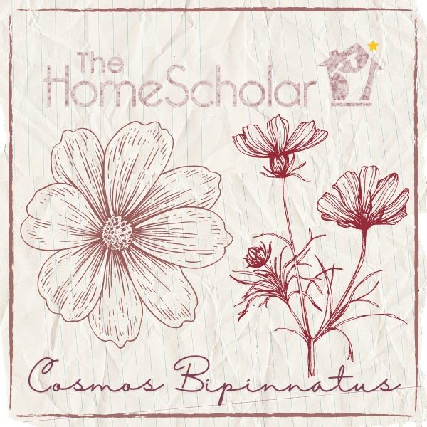 Homeschool Botany for High School Credit